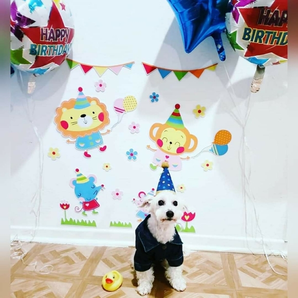 Share 20 ๐ปSharing is Caring๐ป - Picture 13 of 16